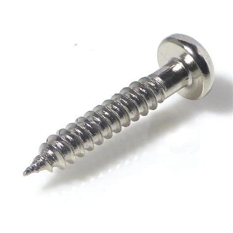 Chrome screws screwfix